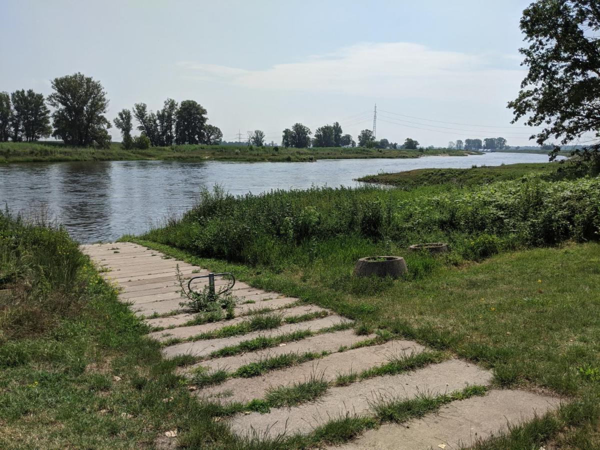 An Den Elbwiesen Gz Fewo Elbeblick Nur Nichtraucher Dommitzsch Kültér fotó