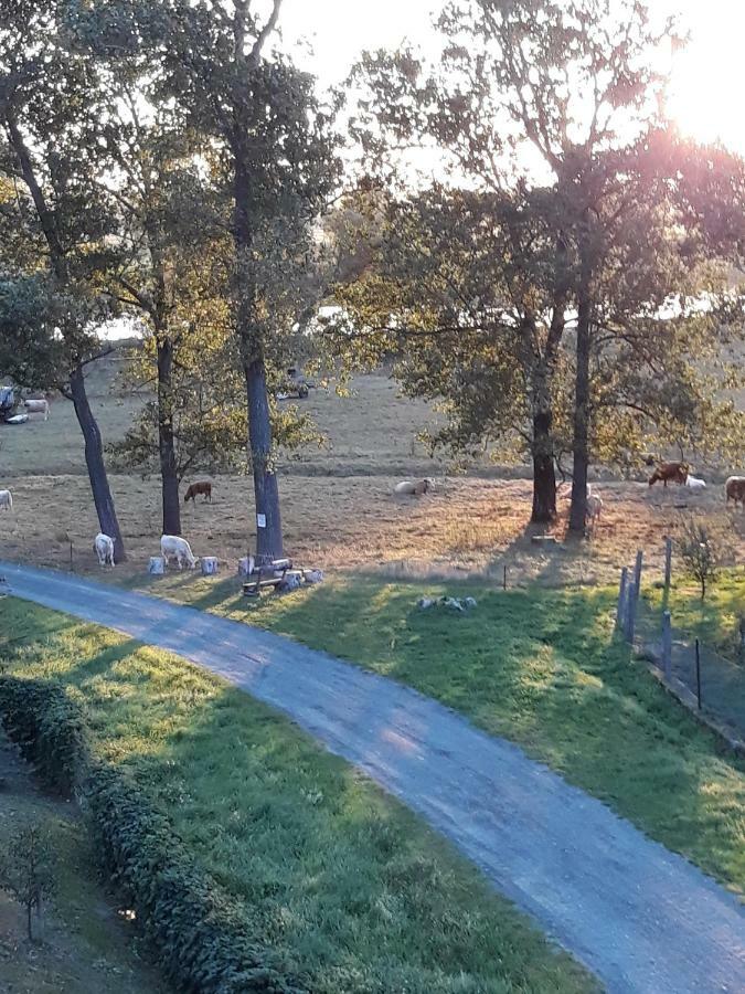 An Den Elbwiesen Gz Fewo Elbeblick Nur Nichtraucher Dommitzsch Kültér fotó