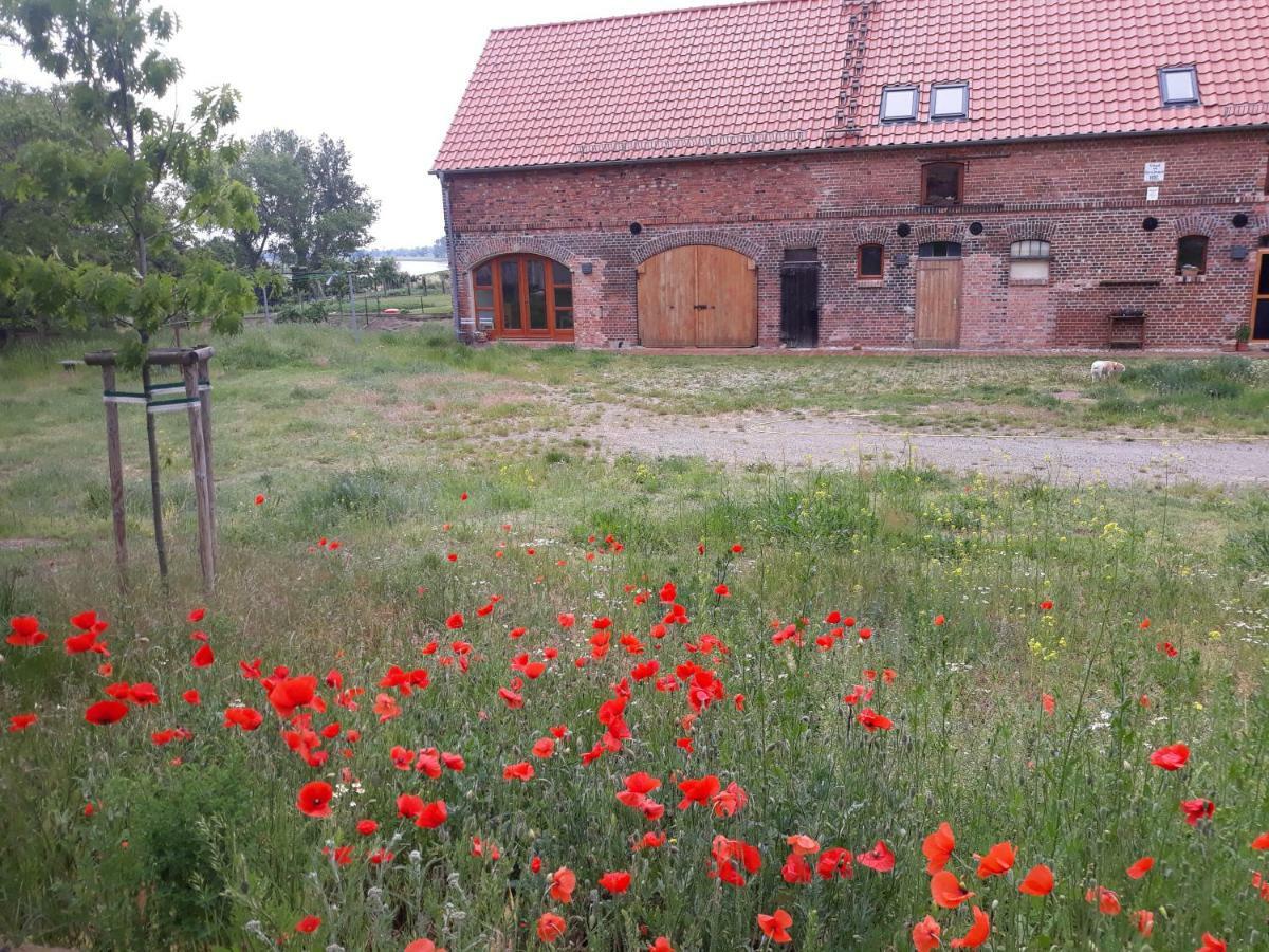 An Den Elbwiesen Gz Fewo Elbeblick Nur Nichtraucher Dommitzsch Kültér fotó